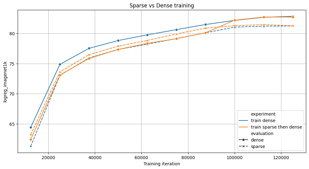 2 strategies for training a ViT model